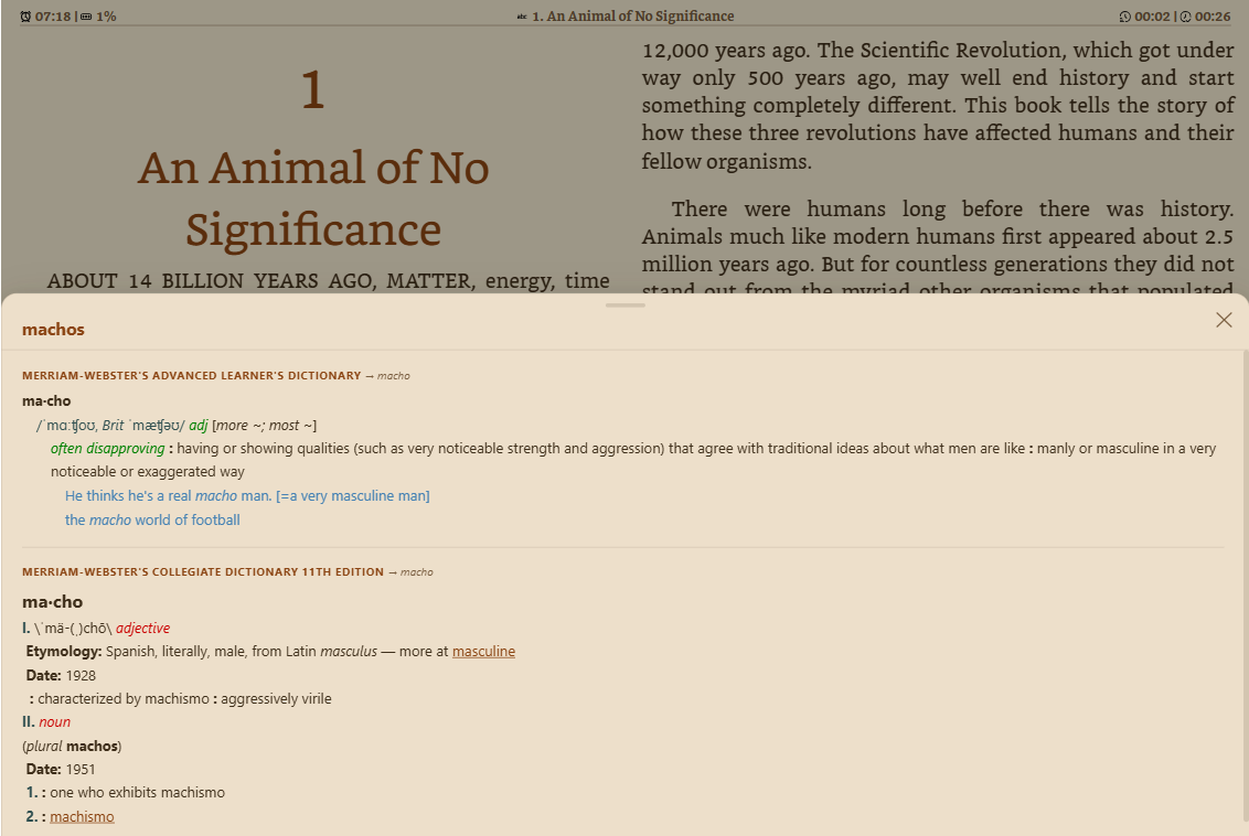 Dictionary lookup popup